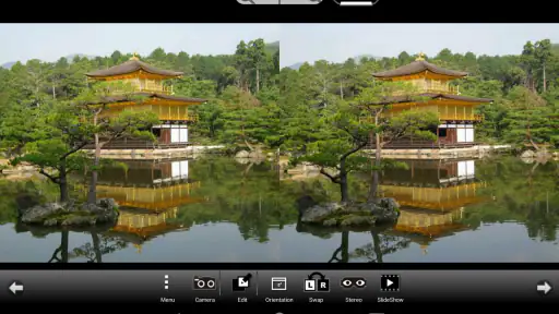 3DSteroid Pro screenshot