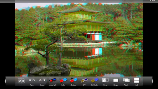 3DSteroid Pro screenshot