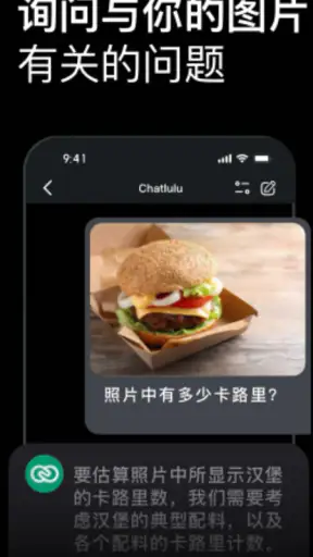 Chatlulu: KI-Videos & Fotos screenshot