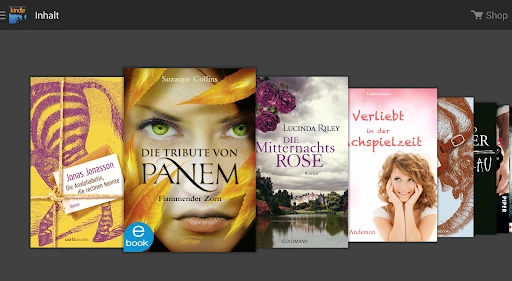 Amazon Kindle screenshot