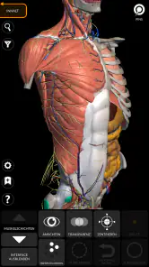 Anatomie - 3D Atlas screenshot