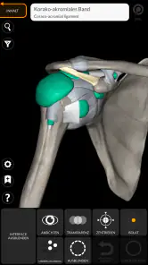 Anatomie - 3D Atlas screenshot