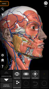 Anatomie - 3D Atlas screenshot