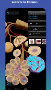 Atlas der Humananatomie 2026 screenshot