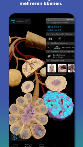 Atlas der Humananatomie 2026 screenshot
