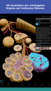 Atlas der Humananatomie 2026 screenshot