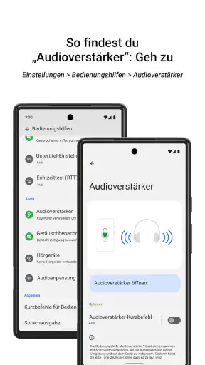 Audioverstärker screenshot