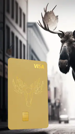 Bank Norwegian screenshot