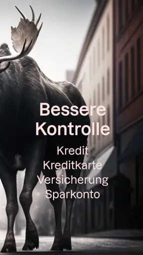 Bank Norwegian screenshot