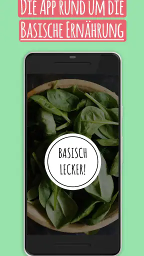 Basische Ernährung screenshot