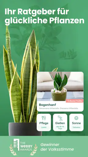 Blossom - Pflanzen bestimmen screenshot