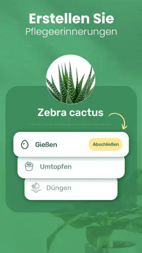 Blossom - Pflanzen bestimmen screenshot
