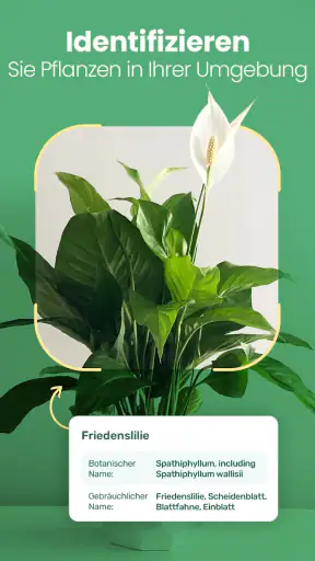 Blossom - Pflanzen bestimmen screenshot