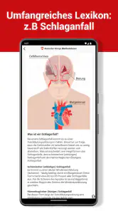 BlutdruckDaten – Blutdruck App screenshot