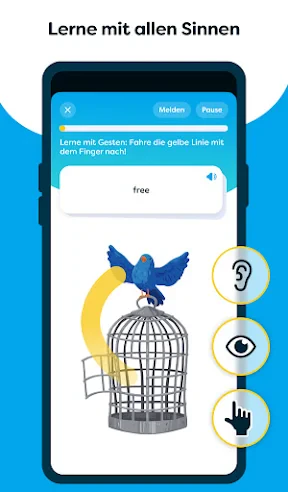cabuu - Vokabeln lernen screenshot
