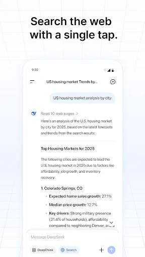 DeepSeek - KI-Assistent screenshot