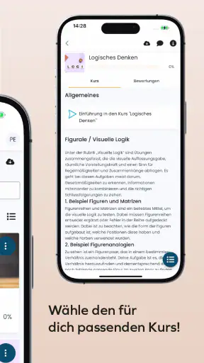 Einstellungstest Trainer screenshot