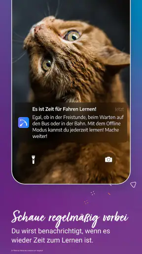 Fahren Lernen screenshot