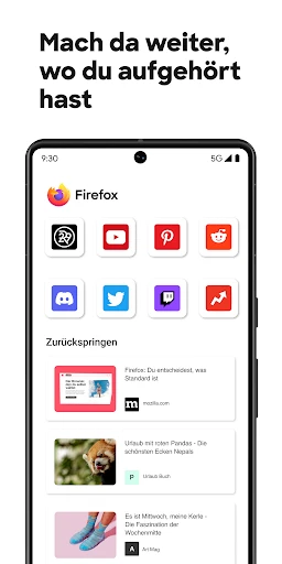 Firefox: internet browser screenshot