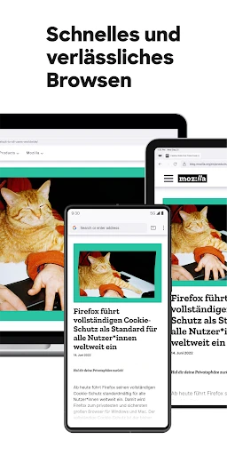 Firefox: internet browser screenshot
