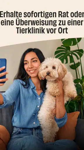 FirstVet screenshot