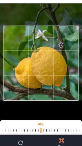 Gartenplaner fürs Gemüsebeet screenshot