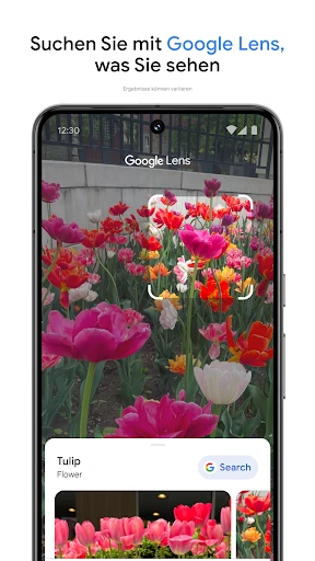 Google Fotos screenshot