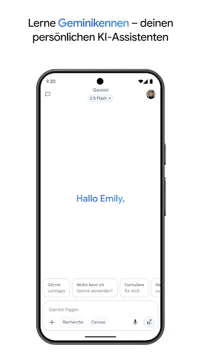 Google Gemini screenshot