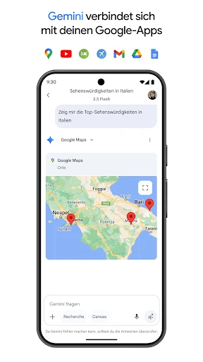Google Gemini screenshot