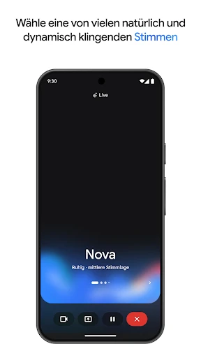 Google Gemini screenshot