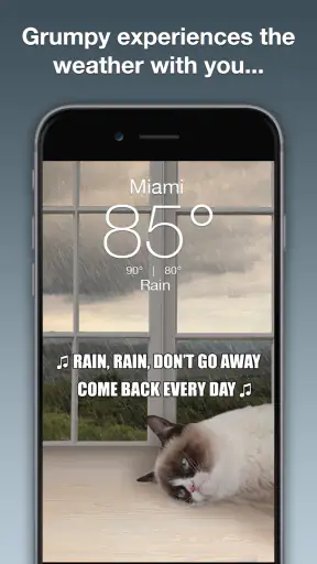 Grumpy Cat Weather screenshot