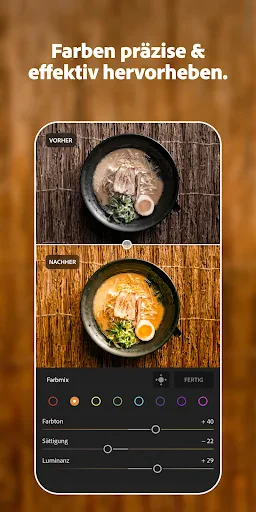 Lightroom Foto- & Video-Editor screenshot