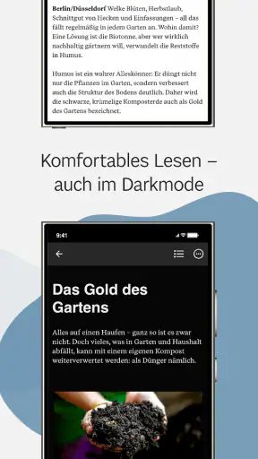 Main-Post ePaper screenshot