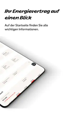 Mein E.ON screenshot