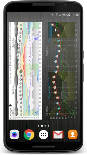 Meteogram Pro Weather Widget screenshot