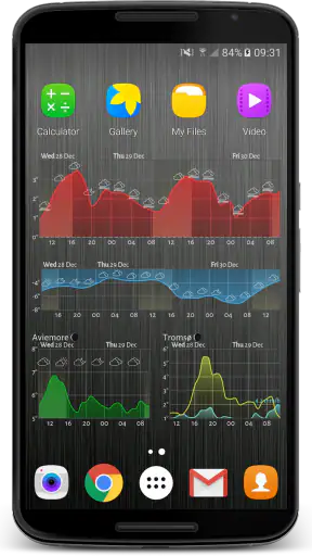 Meteogram Pro Weather Widget screenshot