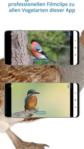 NABU Vogelwelt Vögel Bestimmen screenshot