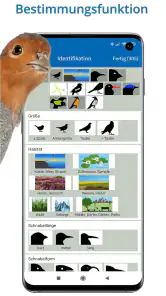 NABU Vogelwelt Vögel Bestimmen screenshot