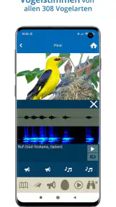 NABU Vogelwelt Vögel Bestimmen screenshot