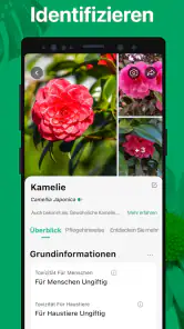 PictureThis Pflanzen bestimmen screenshot