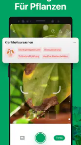 PictureThis Pflanzen bestimmen screenshot