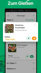 PictureThis Pflanzen bestimmen screenshot