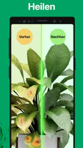 PictureThis Pflanzen bestimmen screenshot