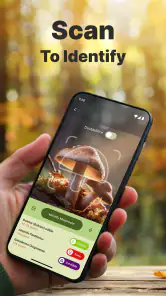 Pilze per Foto bestimmen screenshot