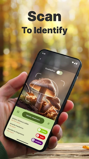 Pilze per Foto bestimmen screenshot