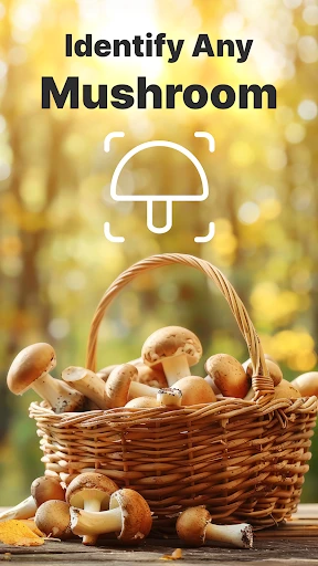 Pilze per Foto bestimmen screenshot