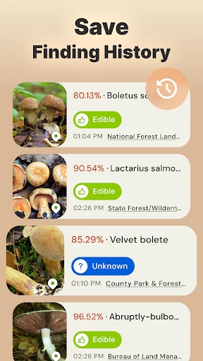 Pilze per Foto bestimmen screenshot