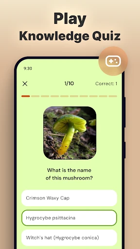Pilze per Foto bestimmen screenshot