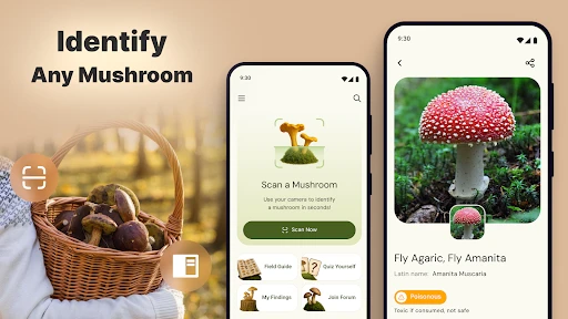 Pilze per Foto bestimmen screenshot