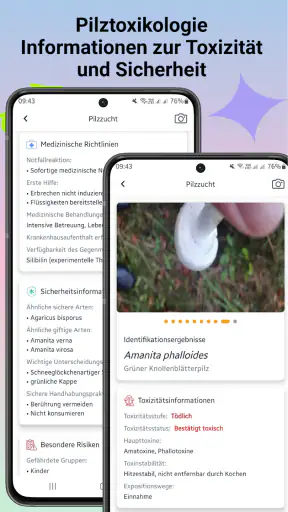 Pilzidentifikator screenshot